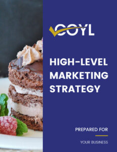 High Level Marketing Strategy Report