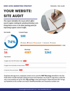 High Level Marketing Report Website Audit